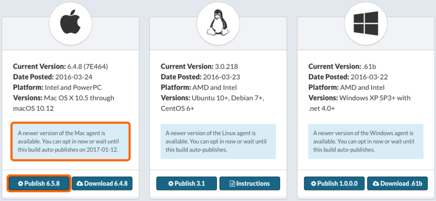 Managing Agent Versions